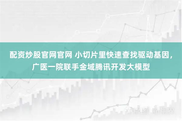 配资炒股官网官网 小切片里快速查找驱动基因，广医一院联手金域腾讯开发大模型