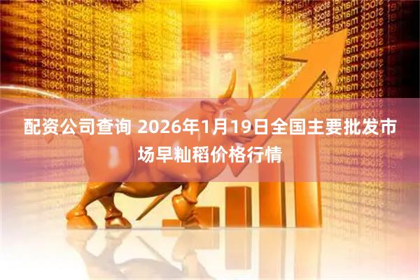 配资公司查询 2026年1月19日全国主要批发市场早籼稻价格行情